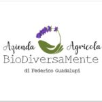 AZ.AGRICOLA BIODIVERSAMENTE - THE FOOD LAVENDER OF THE FLOWER RIVIERA