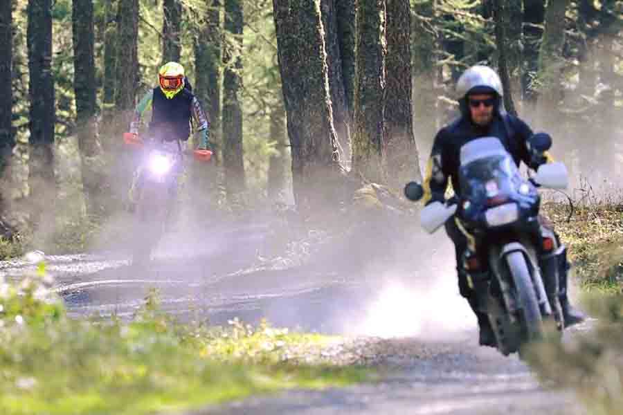professional-driver-moto
