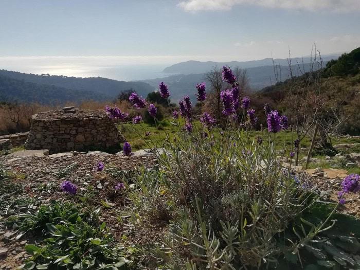 Alla scoperta della Via della Transumanza a Villa Faraldi: un trekking slow nella Liguria di Ponente